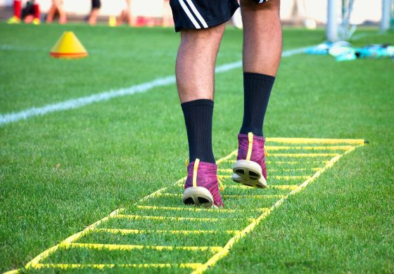 Agility Training: Insights from the Research